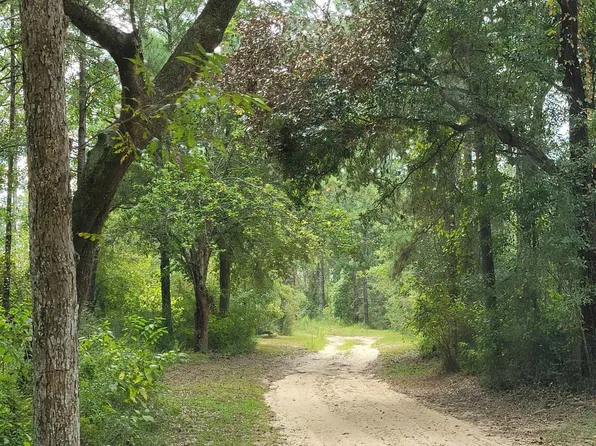 17505 Hansel Hodges Rd, Elberta, AL 36530