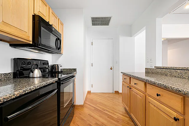 431 S Dearborn St #1403 — Photo 4