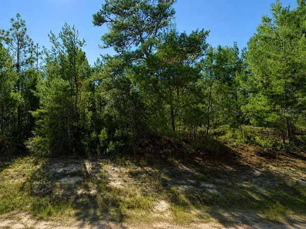 ALLADIN DRIVE LOT 2, CHIPLEY, FL 32428