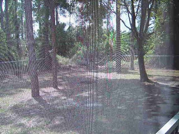 3rd image of 1014 NE 33rd Ln
