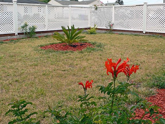 2nd image of 2806 Rollingwood Dr