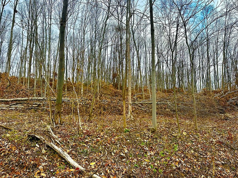 2nd image of 560 Landrum Rd