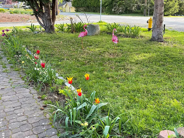 Front yard