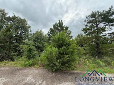 16547 Landons Way, Winona, TX, 75792