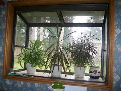 Garden Window