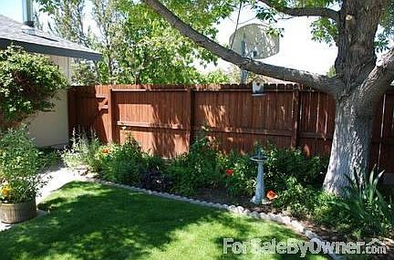 South Facing Shed and Vegetable Garden