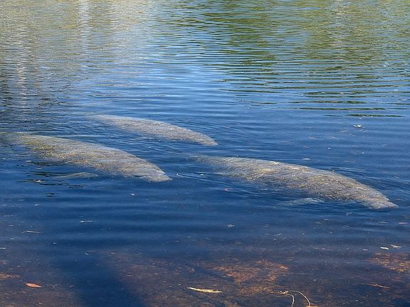 4th image of  NE Rivers Bend Way