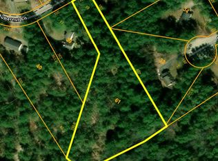 43-2-61 Butternut Ln, Center Tuftonboro, NH 03816