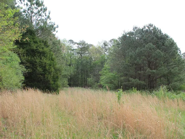 0 Highway 411 #0, Odenville, AL 35120