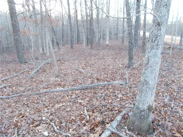 TRACT One Oriole, Pineville, MO 64856