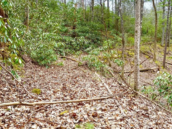 0 Rivendell Ln, Tellico Plains, TN 37385