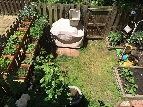 Fenced Yard