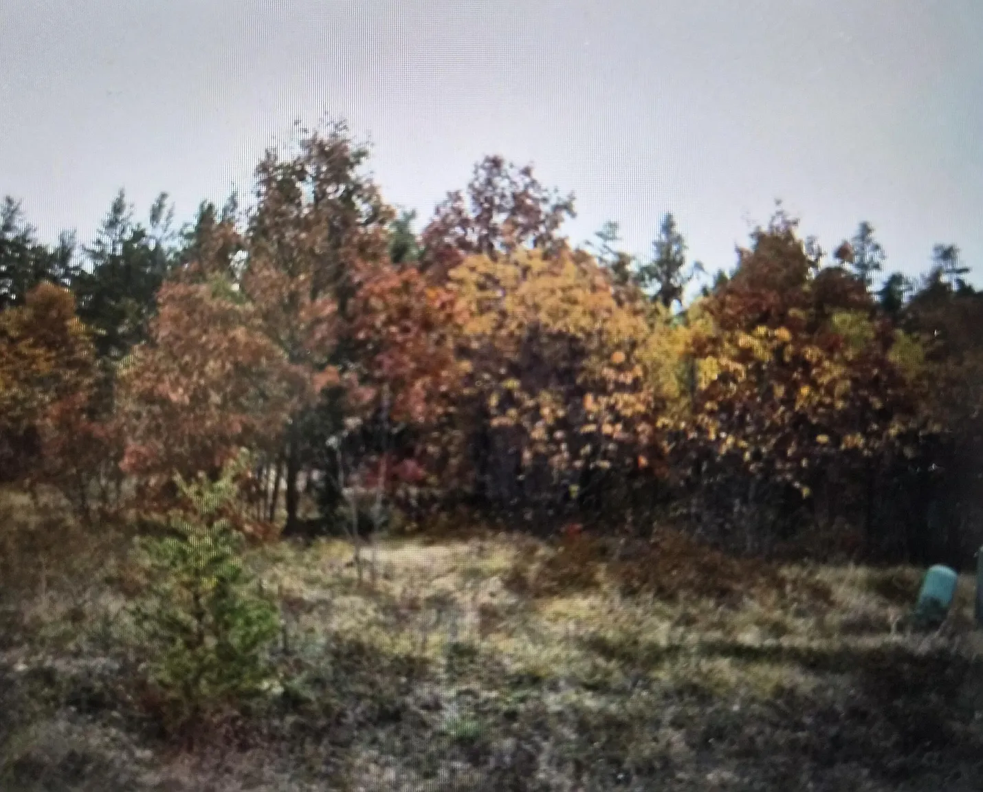 LOT 9 Northwood Dr photo 1