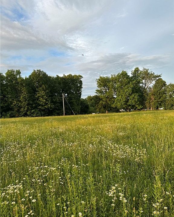2nd image of Madison 1536 Rd #10