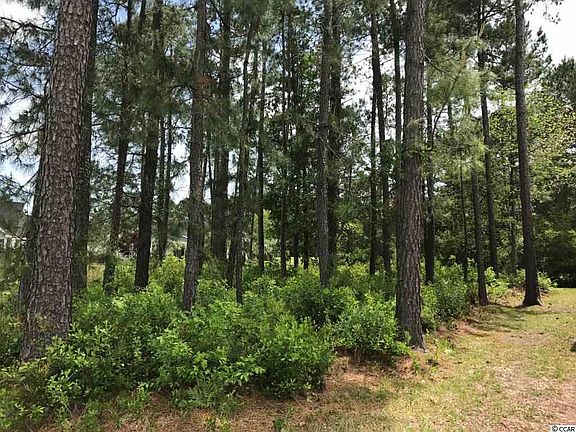 5th image of 278 Wedgefield Dr. Lot 23
