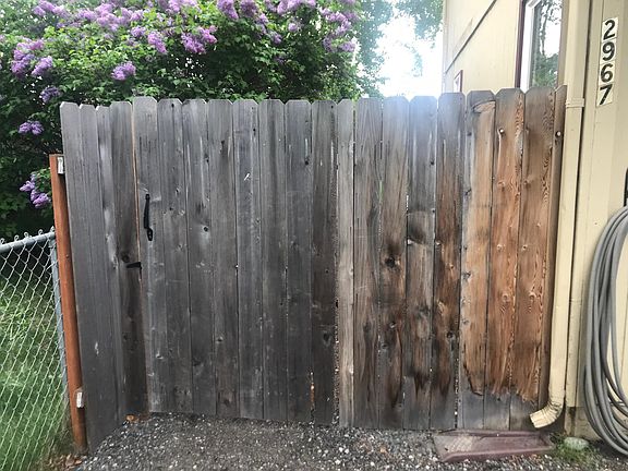 Front of the gated back yard 