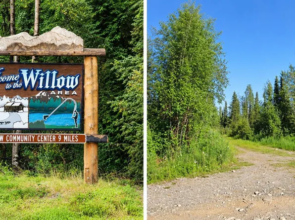19802 W Twitty Ave, Willow, AK 99688