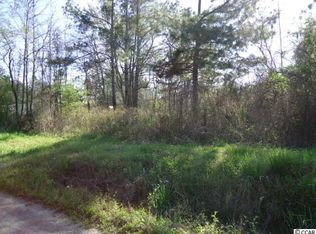 79 Hibiscus Ln, Hemingway, SC 29554