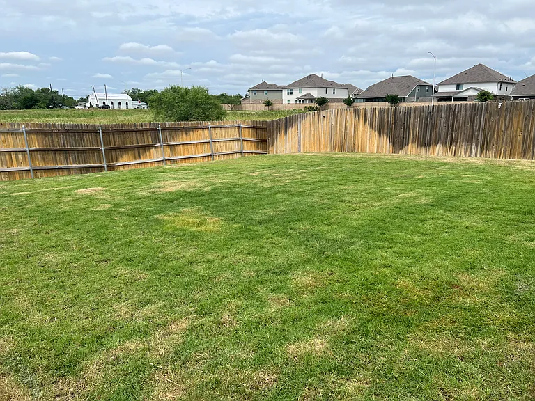 12908 Cerro Castellan Trce — Photo 13