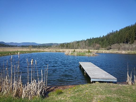 Pond with a dock & island