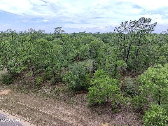 3rd image of LOT 13 Pinellas Dr