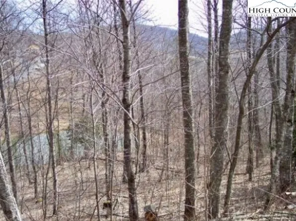 TBD Grande Oaks Drive, Todd, NC 28684