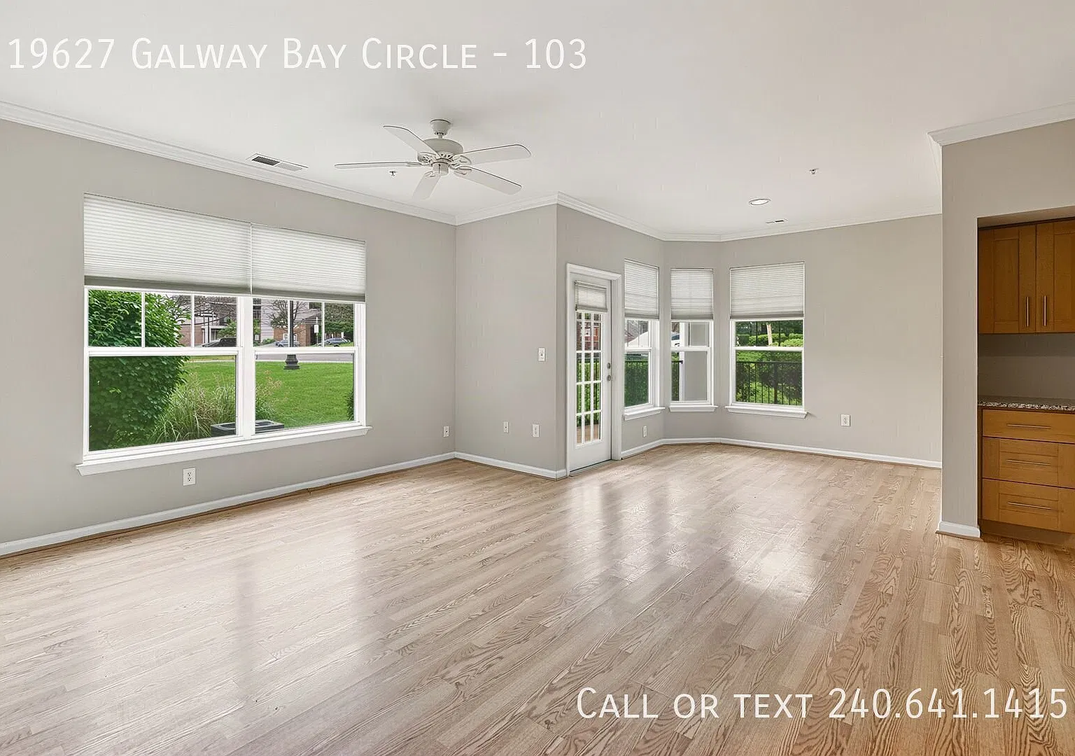 Beautiful 1 BR/1 BA Condo in Germantown! — Photo 3