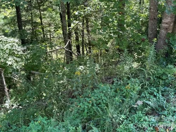 Jarvis Dr, Hendersonville, NC 28792