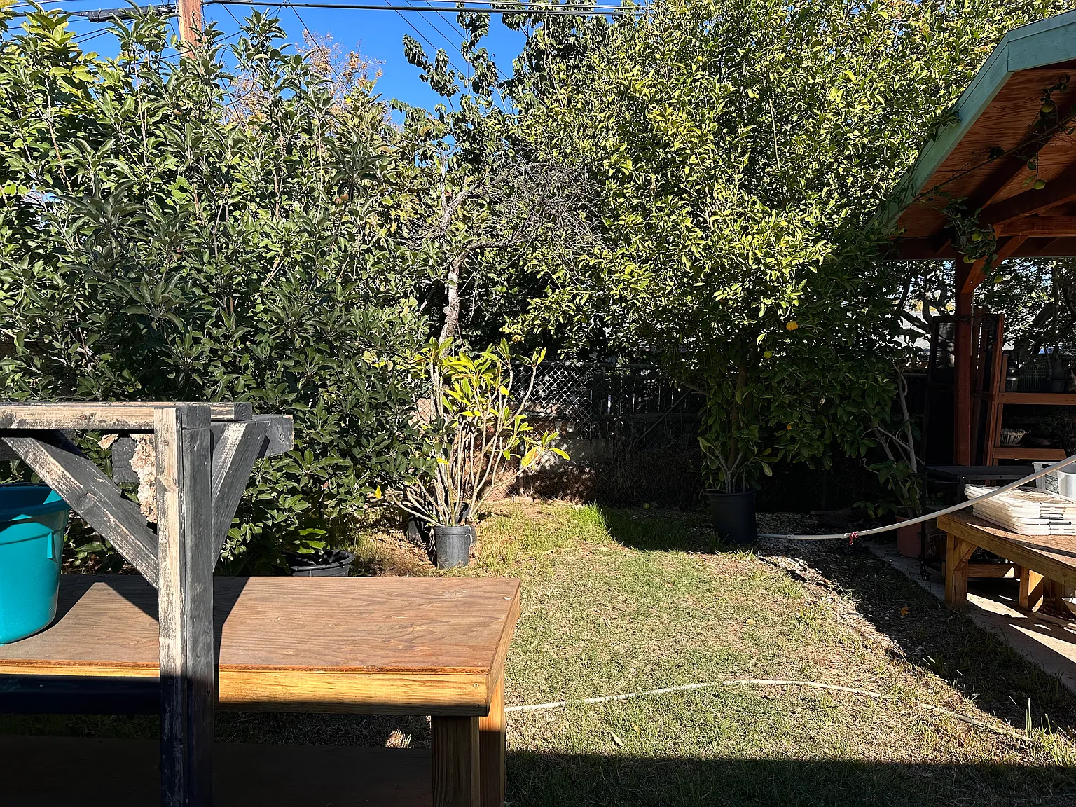 5791 Walter St — Photo 4