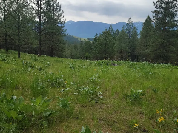 72514 Arlee Pines Dr, Arlee, MT 59821