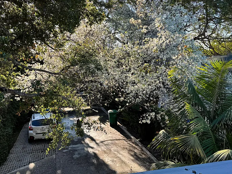 Courtyard view from Penthouse