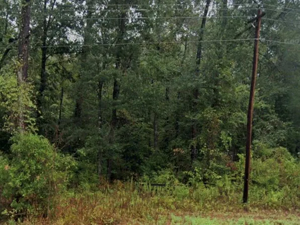 Fm 1008, Dayton, TX 77535