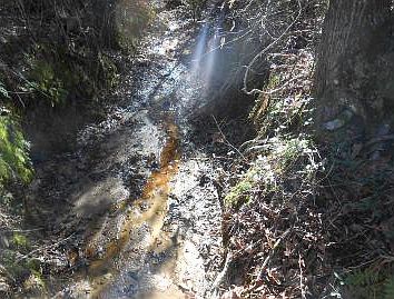 3rd image of 0000 County Road 3406
