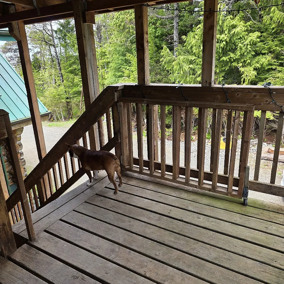 11138 Alderwood St. - 1 — Photo 4