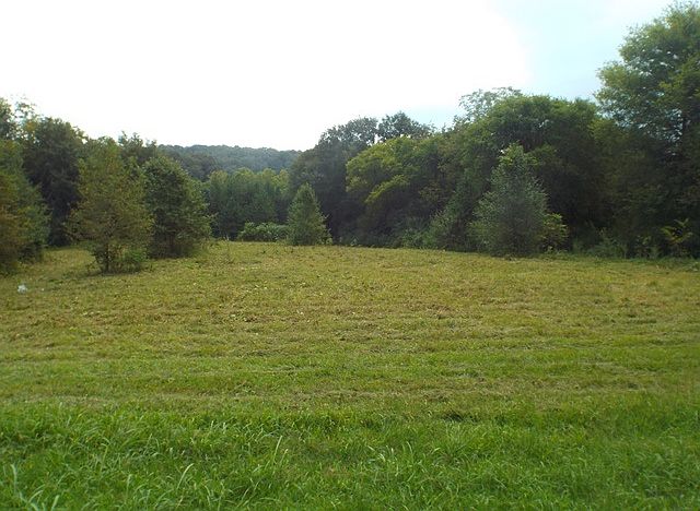 2nd image of 696 Benton Station Rd