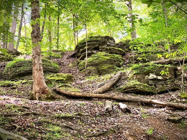 0 Three Island Rd, Walling, TN 38587