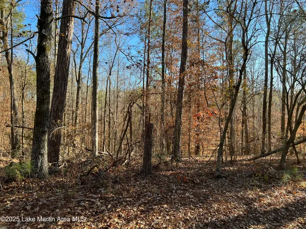Lots 41 44 56 Fern Ridge Ct, Dadeville, AL 36853