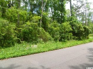 343 Hill Dr, Pawleys Island, SC 29585