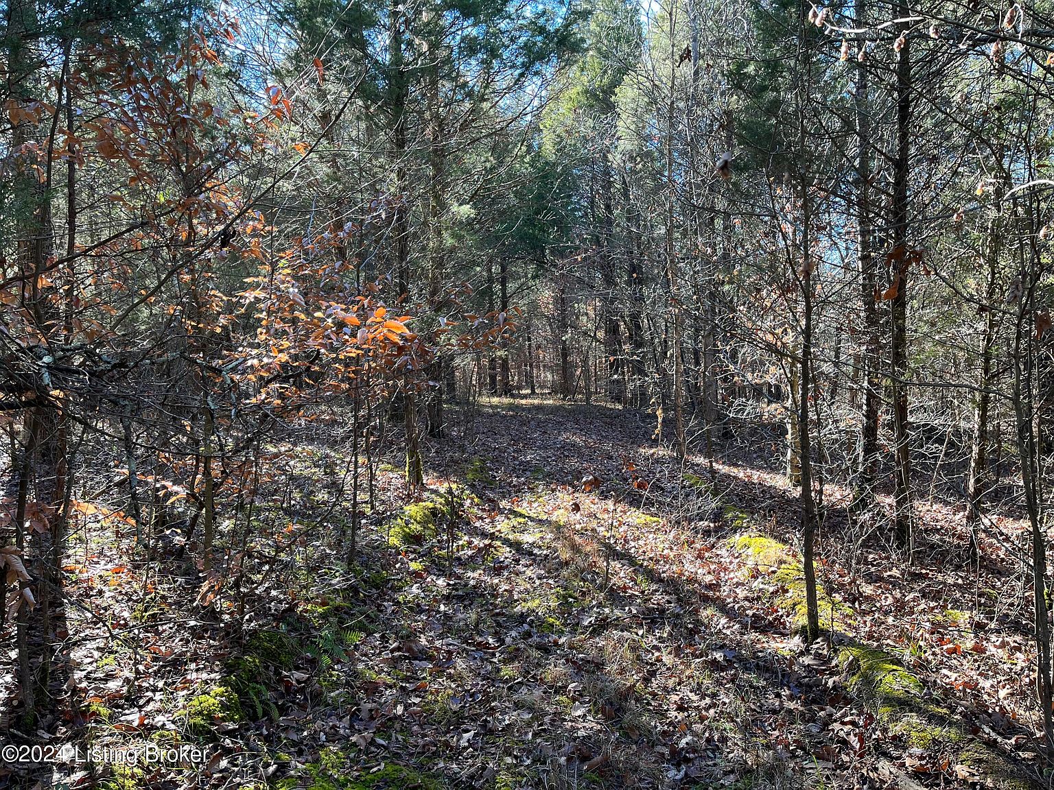 0 Olaton Rd, Falls Of Rough, KY 40119 MLS 1652628 Zillow
