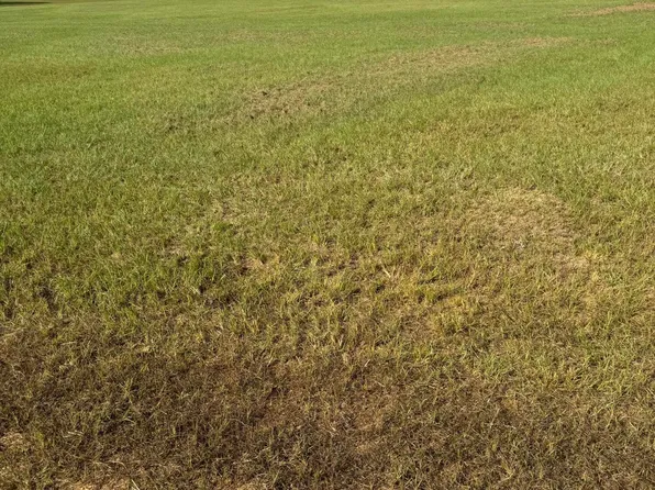 Twin Oaks Dr Lot 11, McComb, MS 39648