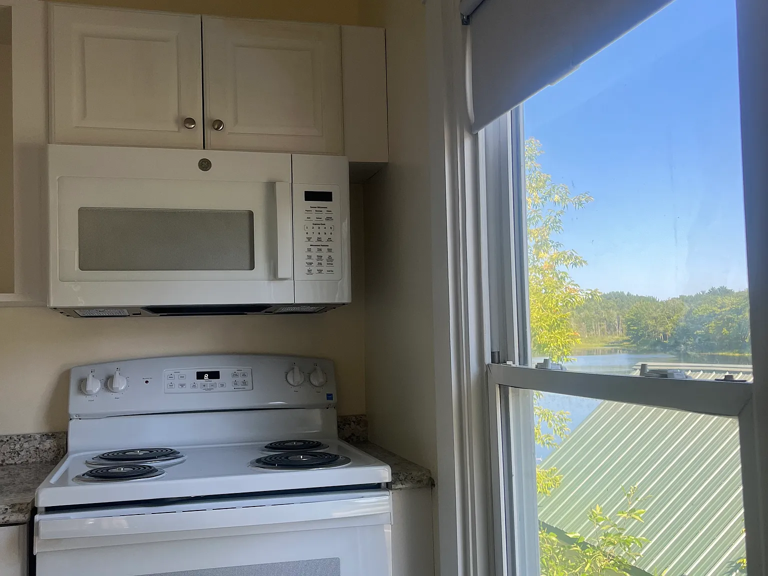 1 bed, $1,500 — Photo 4