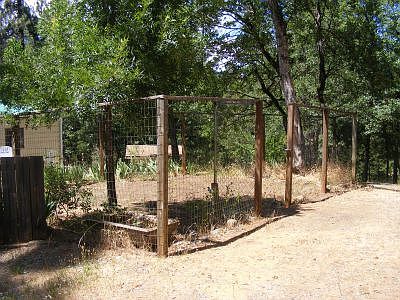 Fenced Garden Area