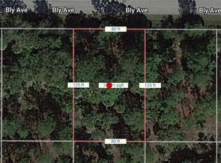 17487 Bly Ave, Port Charlotte, FL 33948