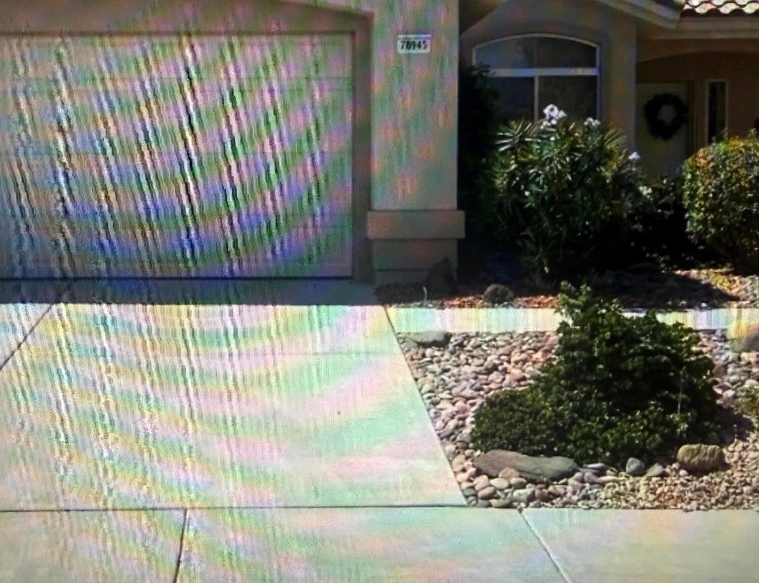 2 bed, 1128 sqft, $2,600 — Photo 1