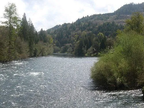 41866 McKenzie Hwy photo 1