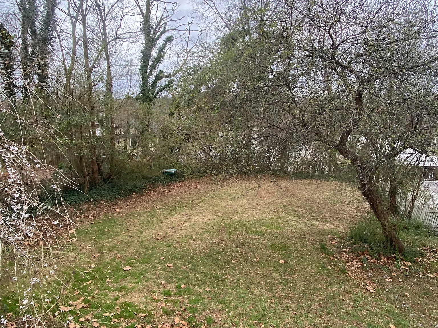 20 Albemarle Rd — Photo 2