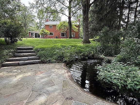 View from pond in backyard