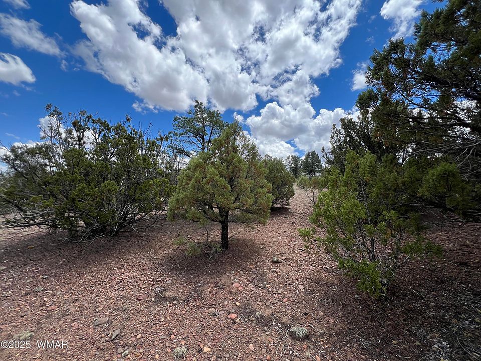 2nd image of 72 County Road 3193