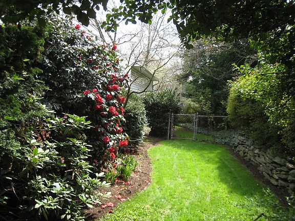 Side yard