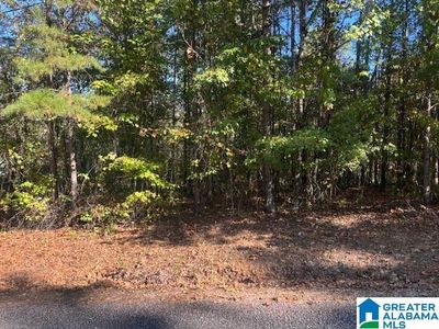 Dogwood Rdg #55, Wedowee, AL, 36278